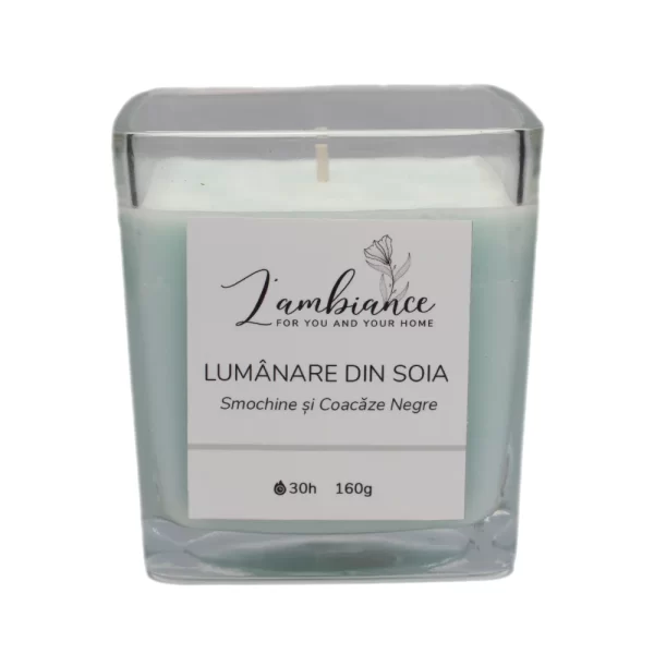 Lumanare parfumata din Soia - Smochine si Coacaze Negre - L'Ambiance